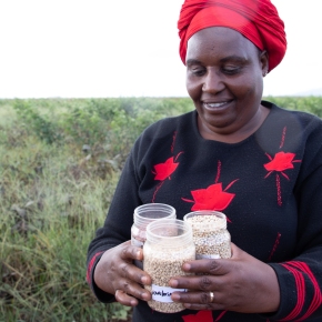 Promoting better agricultural practices of drought-tolerant crops in farming communities
